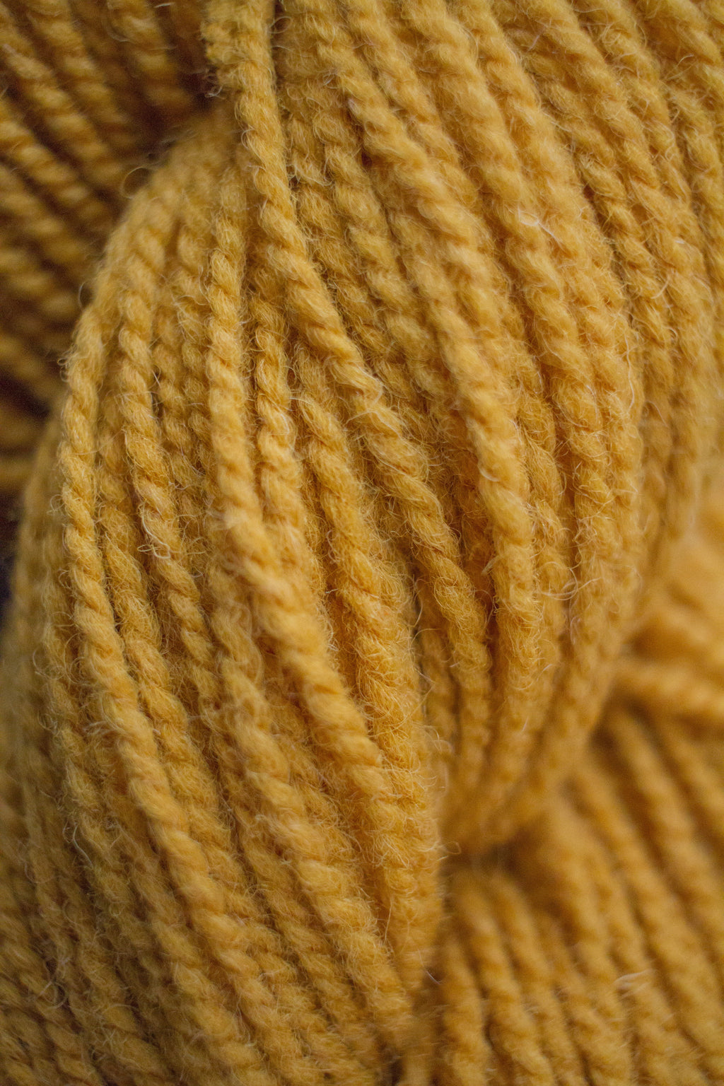 Heritage 2-ply worsted 100% wool yarn by Maritime Family Fiber - view 44