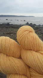 Regal 2-ply DK 100% wool yarn by Maritime Family Fiber - view 6