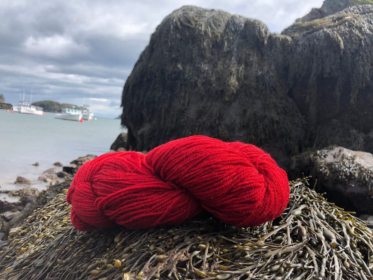 Regal 2-ply DK 100% wool yarn by Maritime Family Fiber